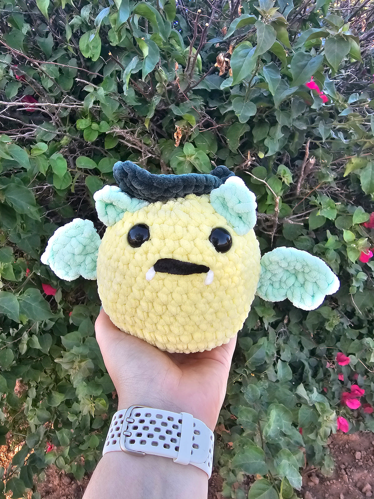 Fruit Bat 2024 Summerween Collection