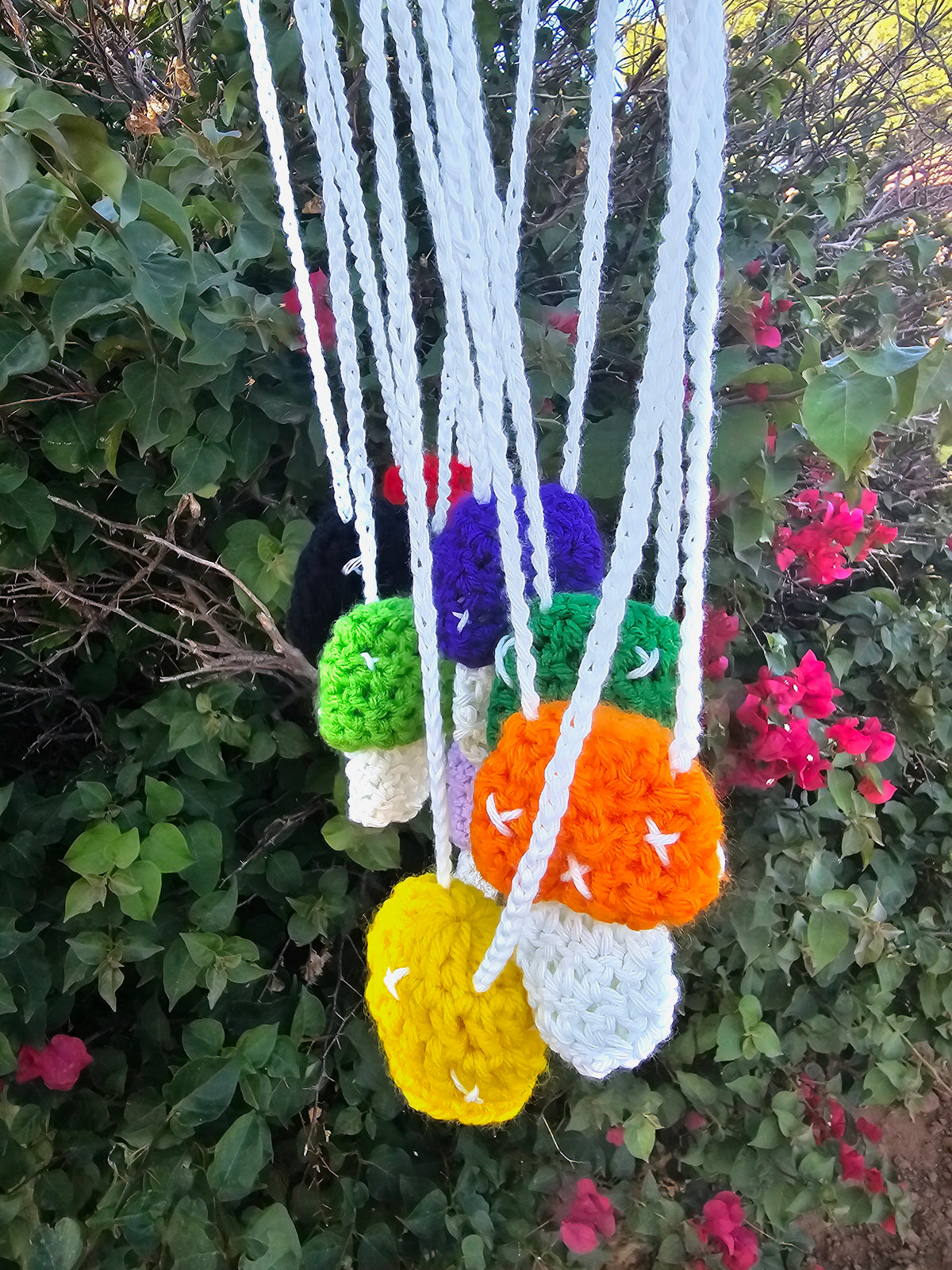 Mushroom Pouches