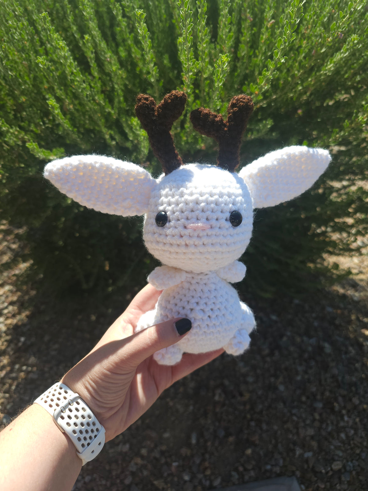Jackalope